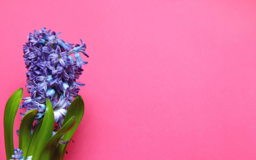 1466411 (a): :2880x1800